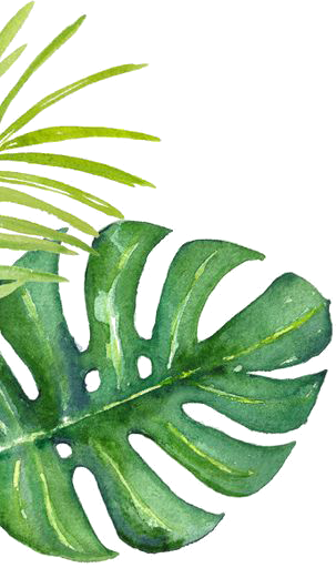 Universal Green Distribution UK LTD.