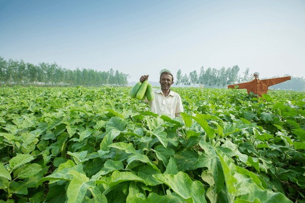 Universal%20Green%20Distribution%20UK%20LTD