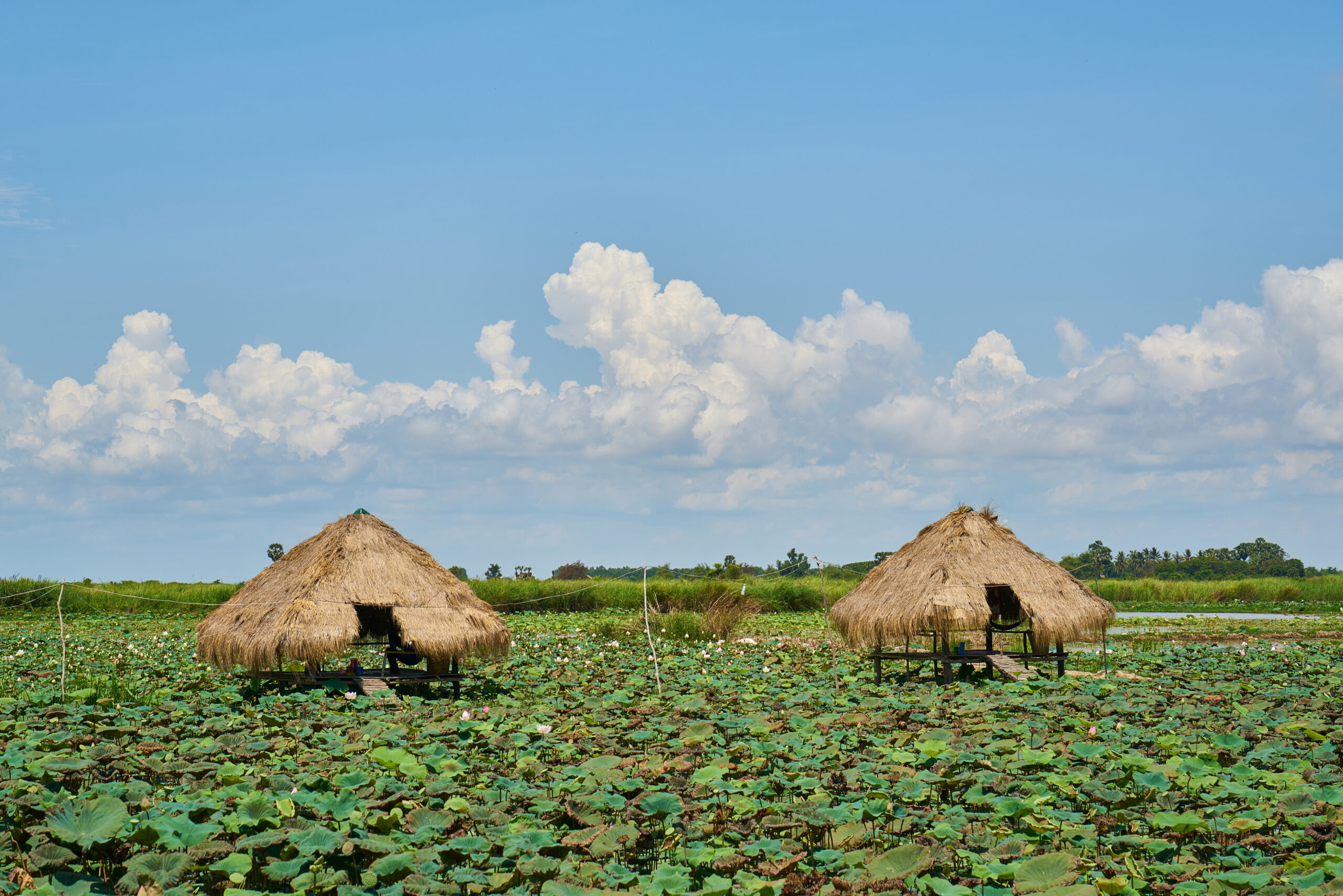 Universal%20Green%20Distribution%20UK%20LTD